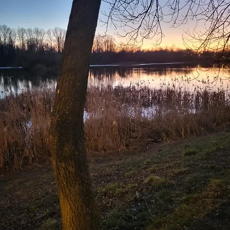 Apartment Hajmat Moj *