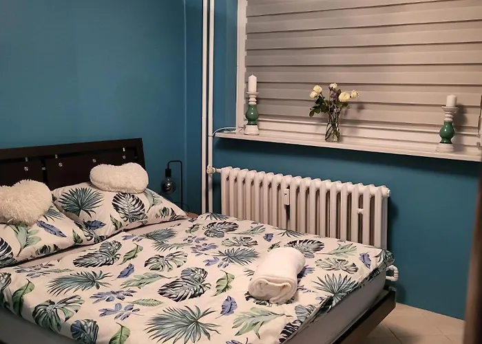 Daire Hajmat Moj Katoviçe